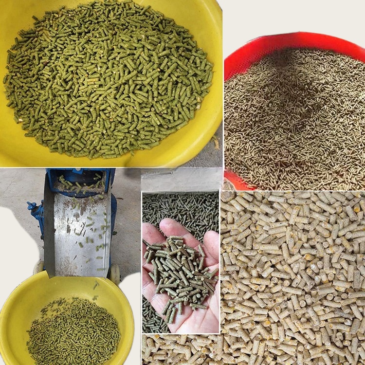 آلة تحبيب الأعلاف الحيوانية، م - مراجعة Wood Pellet Making Machine وسعره