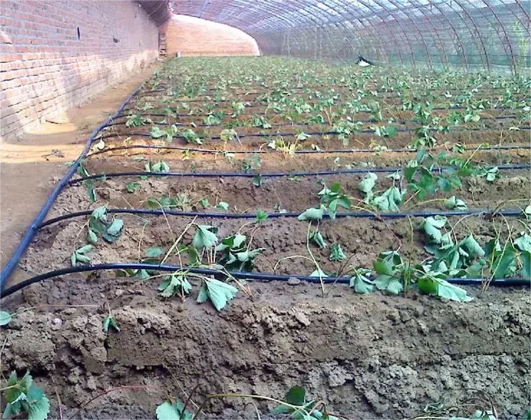 طقم ري 1HA، أداة زراعية، شريط  - مراجعة Agriculture Farming Kit وسعره