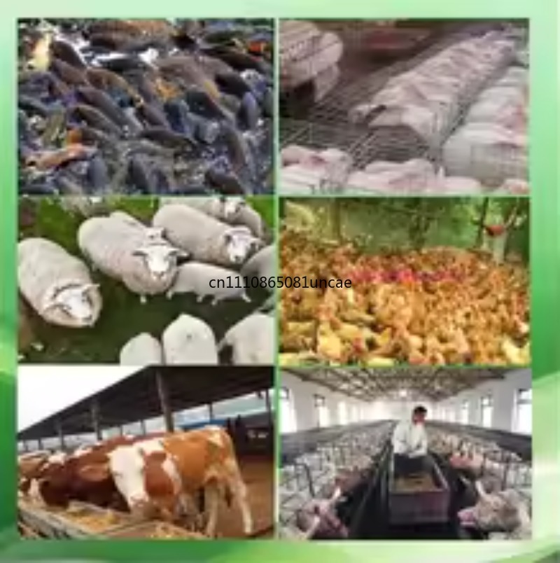 آلة صنع حبيبات الأعلاف والطعام - مراجعة Wood Pellet Making Machine وسعره