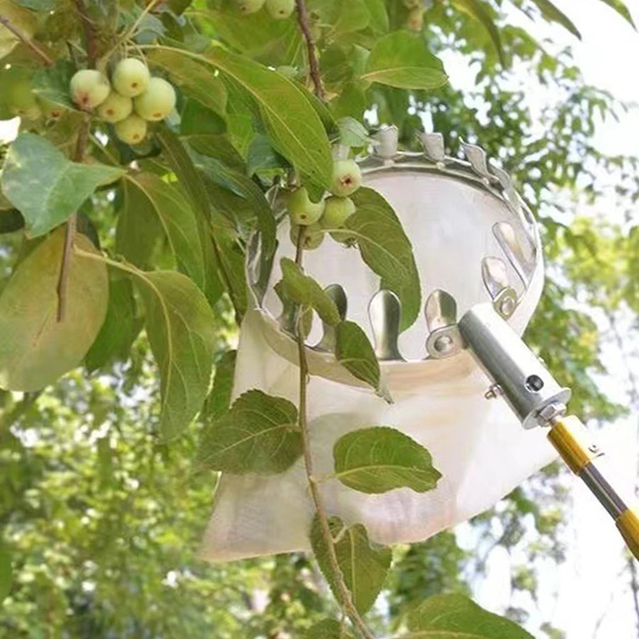 أداة احترافية لقطف التوت، سلة  - مراجعة Farming Tools For Agriculture وسعره