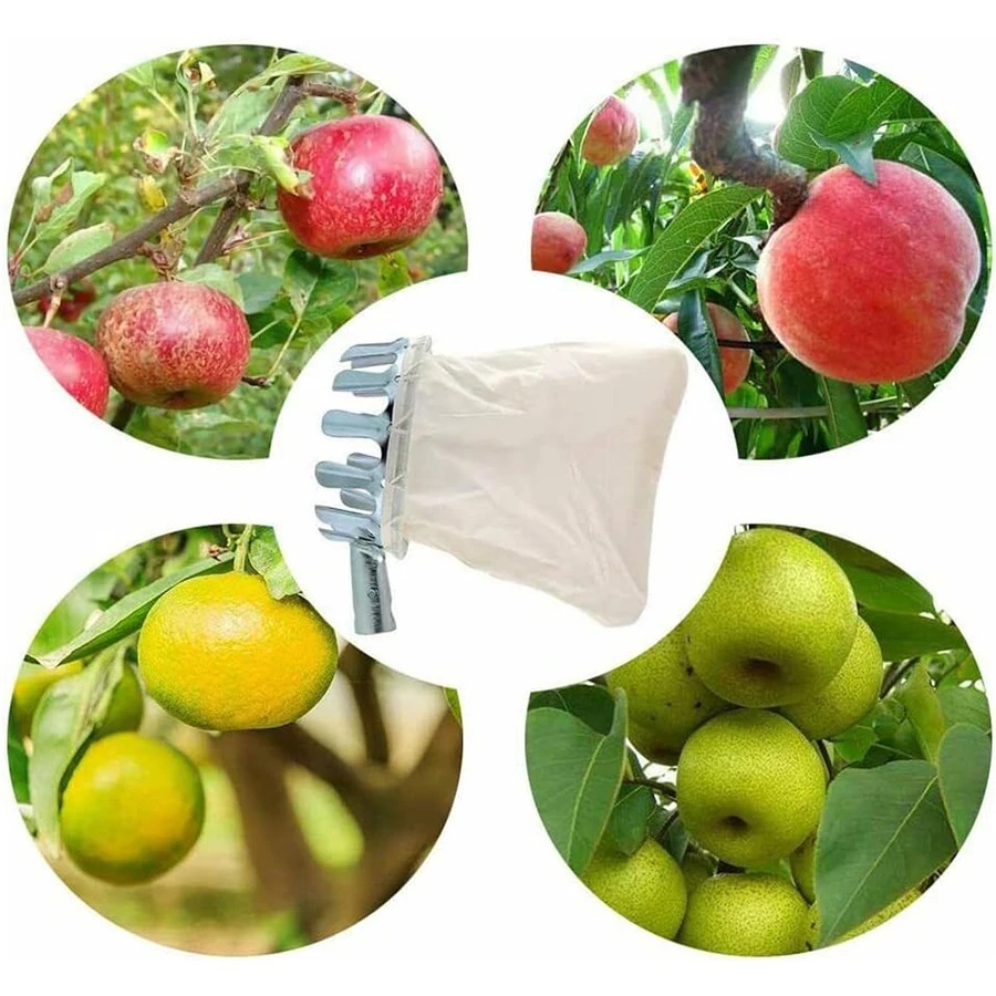 أداة احترافية لقطف التوت، سلة  - مراجعة Farming Tools For Agriculture وسعره